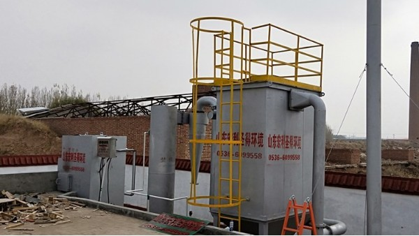 domestic waste incinerator