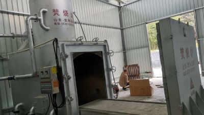 How to choose pet cremation equipment?