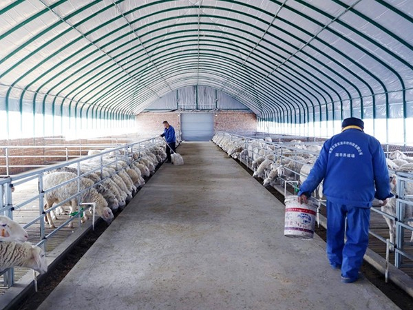 Farming <font color='red'>wastewater treatment equipment</font>